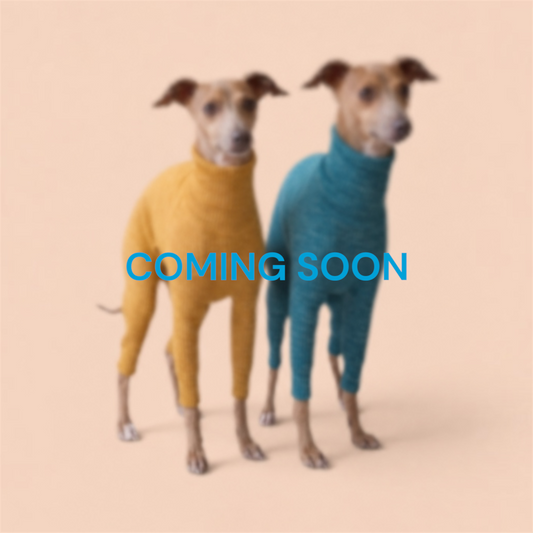 Organic Cotton Rib Knit Romper for Iggies ／オーガニックコットン リブニット ロンパース　イタグレ服
