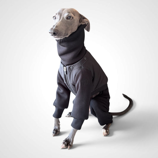 Insulated All-In-One for Iggies ／                                                     インサレーテッド オールインワン　イタグレ服