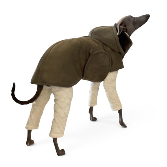 Eco Mouton Hooded Coat for Italian Greyhounds