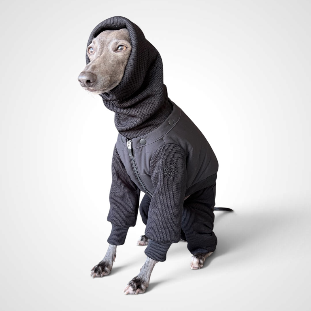 Insulated All-In-One for Iggies ／                                                     インサレーテッド オールインワン　イタグレ服