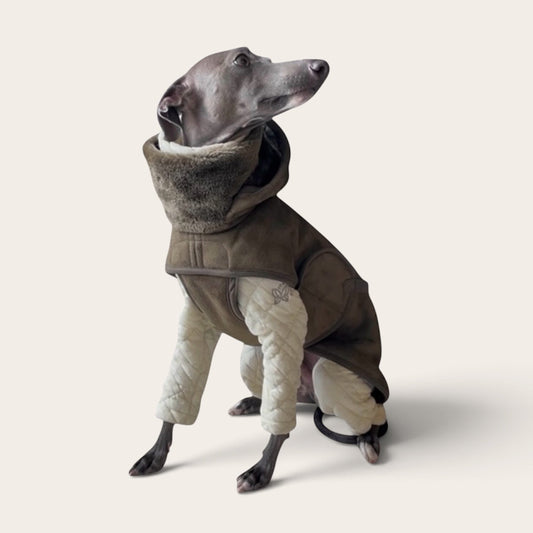 Eco Mouton Hooded Coat for Iggies ／ エコムートンフーデッドコート　イタグレ服