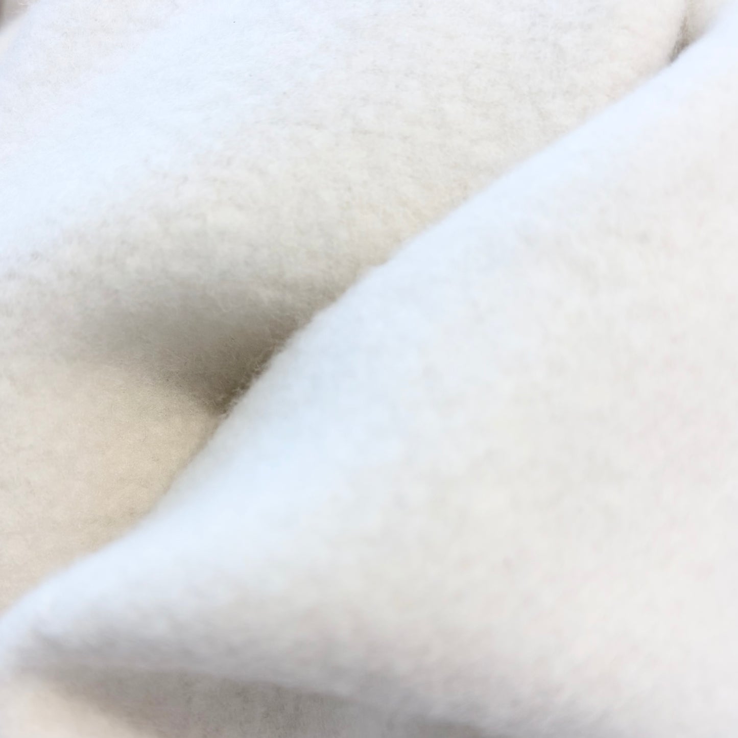 【予約販売】「予約販売特別価格 こちらは予約商品です。11月中旬より順次発送予定です。※入荷状況により発送時期が前後する場合がございます。」【裏起毛 エンブロイダリー スウェット ショートスリーブ】イタグレ服／Fleece-Lined Embroidery Short Sleeve Sweatshirt ／for iggy