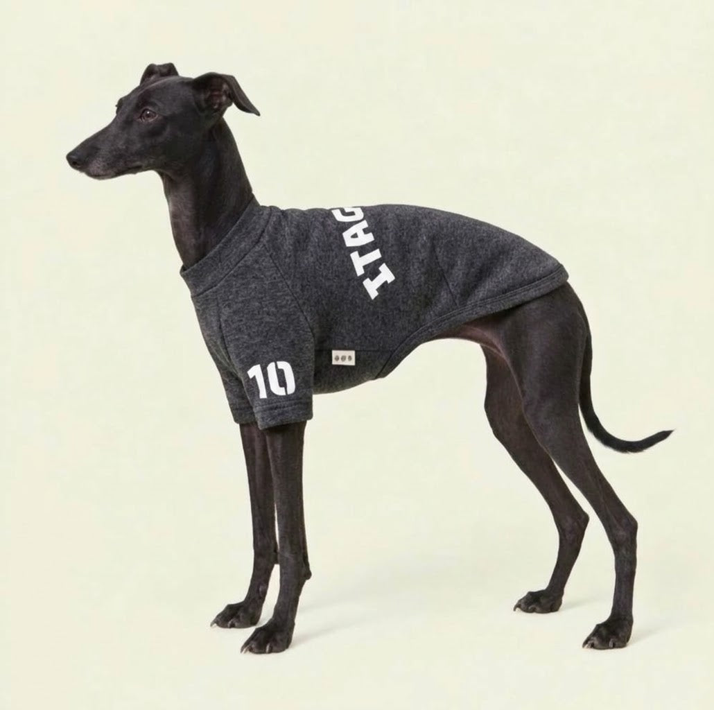 【予約販売】「予約販売特別価格 こちらは予約商品です。11月中旬より順次発送予定です。※入荷状況により発送時期が前後する場合がございます。」【裏起毛 エンブロイダリー スウェット ショートスリーブ】イタグレ服／Fleece-Lined Embroidery Short Sleeve Sweatshirt ／for iggy