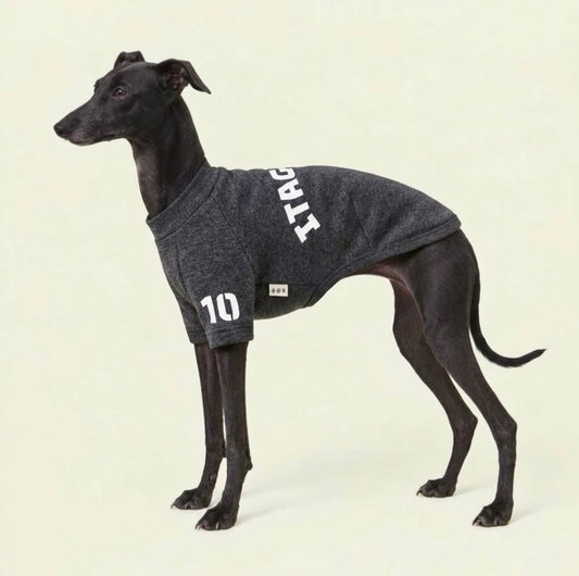 【予約販売】「予約販売特別価格 こちらは予約商品です。11月中旬より順次発送予定です。※入荷状況により発送時期が前後する場合がございます。」【裏起毛 エンブロイダリー スウェット ショートスリーブ】イタグレ服／Fleece-Lined Embroidery Short Sleeve Sweatshirt ／for iggy