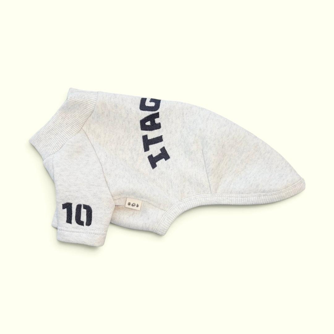 【予約販売】「予約販売特別価格 こちらは予約商品です。11月中旬より順次発送予定です。※入荷状況により発送時期が前後する場合がございます。」【裏起毛 エンブロイダリー スウェット ショートスリーブ】イタグレ服／Fleece-Lined Embroidery Short Sleeve Sweatshirt ／for iggy