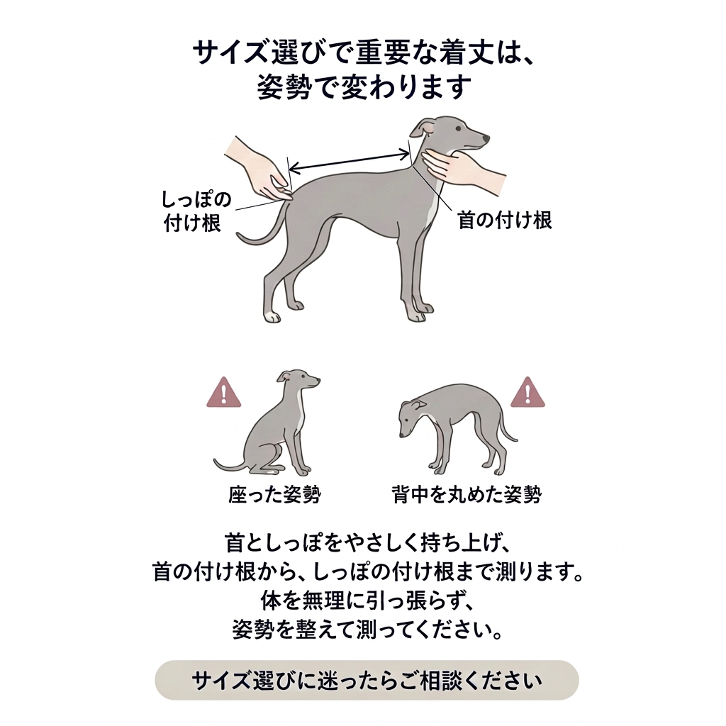 測り方の文言を修正したサイズ案内画像